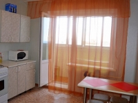 1-комнатная квартира посуточно Нижний Новгород, проспект Гагарина, 212а: Фотография 3