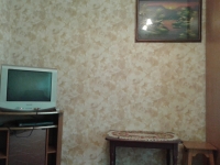 1-комнатная квартира посуточно Воронеж, Б Роща, 30: Фотография 3