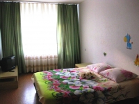 2-комнатная квартира посуточно Новосибирск, Гоголя, 39а: Фотография 2