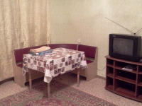 1-комнатная квартира посуточно Новосибирск, петухова, 12: Фотография 2