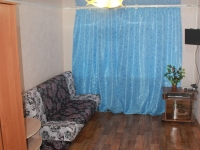 1-комнатная квартира посуточно Томск, Усова , 25: Фотография 2