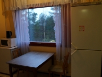 1-комнатная квартира посуточно Костомукша, Героев, 1: Фотография 3