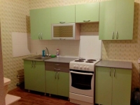 1-комнатная квартира посуточно Челябинск, Дзержинского , 97б: Фотография 3