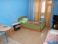 1-комнатная квартира посуточно Псков, Михайловская, 1: Фотография 2