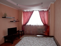 1-комнатная квартира посуточно Нижний Новгород, Академика Лебедева, 8а: Фотография 2