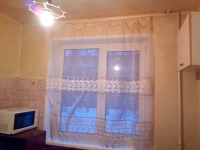 1-комнатная квартира посуточно Нижний Новгород, Проспект Ленина, 65 к 3: Фотография 2