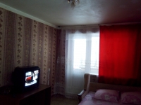 1-комнатная квартира посуточно Нижний Новгород, Проспект Ленина, 65 к 3: Фотография 4