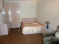 1-комнатная квартира посуточно Нижний Новгород, Пятигорская, 19: Фотография 3