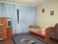 2-комнатная квартира посуточно Нижнекамск, Шинников, 7: Фотография 2