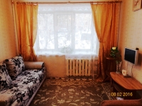 1-комнатная квартира посуточно Нижний Новгород, улица Белинского, 87: Фотография 2