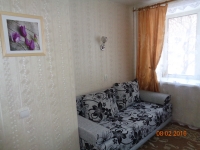 1-комнатная квартира посуточно Нижний Новгород, улица Белинского, 87: Фотография 5