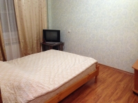 1-комнатная квартира посуточно Нижний Новгород, Дмитрия Павлова, 6: Фотография 2