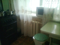 1-комнатная квартира посуточно Нижний Новгород, Анкудиновское шоссе , 30: Фотография 4