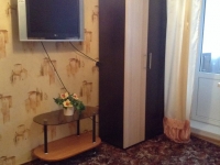 1-комнатная квартира посуточно Нижний Новгород, пр. Гагарина , 42В: Фотография 2
