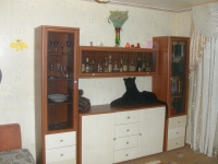 1-комнатная квартира посуточно Волгоград, Советская , 43: Фотография 7
