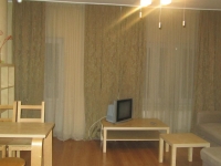 1-комнатная квартира посуточно Тюмень, 50 лет влксм, 15: Фотография 3