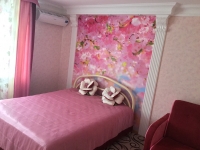 2-комнатная квартира посуточно Ставрополь, Ленина, 243: Фотография 2