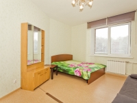 1-комнатная квартира посуточно Нижний Новгород, Белинского, 36: Фотография 2