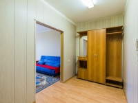 1-комнатная квартира посуточно Нижний Новгород, Коминтерна, 256: Фотография 2