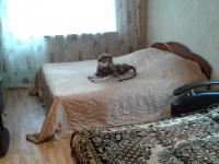 1-комнатная квартира посуточно Воронеж, Циолковского, 9: Фотография 4