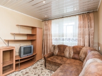 1-комнатная квартира посуточно Нижний Новгород, Ногина , 22: Фотография 2