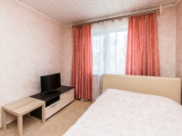 1-комнатная квартира посуточно Нижний Новгород, Ногина , 22: Фотография 4