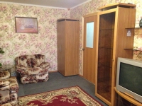 1-комнатная квартира посуточно Жуковский, Левченко, 2: Фотография 2