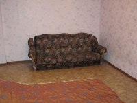 1-комнатная квартира посуточно Омск, Лукашевича , 19 а: Фотография 2