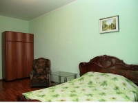 1-комнатная квартира посуточно Нижний Новгород, пр. Ленина, 17: Фотография 2