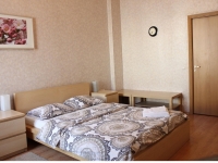 1-комнатная квартира посуточно Нижний Новгород, проспект Ленина, 40: Фотография 3