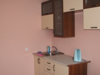 1-комнатная квартира посуточно Черногорск, Космонавтов, 1в: Фотография 8