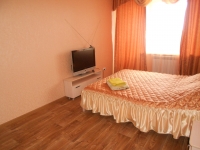 1-комнатная квартира посуточно Черногорск, Генерала Тихонова, 11: Фотография 2