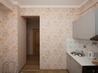 3-комнатная квартира посуточно Омск, Пушкина, 101: Фотография 19