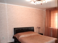 2-комнатная квартира посуточно Брянск, Красноармейская ул., 100: Фотография 4