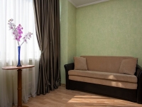 1-комнатная квартира посуточно Екатеринбург, Белинского , 86: Фотография 3
