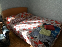 1-комнатная квартира посуточно Борисов, Чапаева, 23: Фотография 2