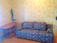 1-комнатная квартира посуточно Екатеринбург, Татарский переулок, 15: Фотография 2