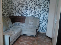 1-комнатная квартира посуточно Нижний Новгород, федосеенко, 94: Фотография 2