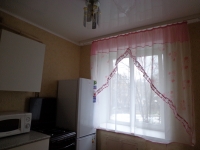 1-комнатная квартира посуточно Уфа, Первомайская улица, 53: Фотография 8