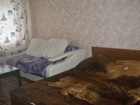 1-комнатная квартира посуточно Красноярск, затонская, 7а: Фотография 2