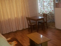 2-комнатная квартира посуточно Красноярск, красноярский рабочий, 67а: Фотография 5