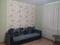 1-комнатная квартира посуточно Нижний Новгород, Звездинка, 7: Фотография 5