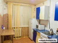1-комнатная квартира посуточно Борисов, Комарова, 18: Фотография 2