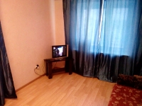 1-комнатная квартира посуточно Нижний Новгород, Московское шоссе, 17, корпус 1: Фотография 2