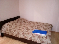 1-комнатная квартира посуточно Нижний Новгород, Московское шоссе, 17, корпус 1: Фотография 5