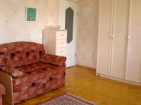 1-комнатная квартира посуточно Ижевск, Лихвинцева, 46: Фотография 3