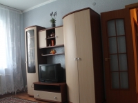 1-комнатная квартира посуточно Нижний Новгород, Родионова, 195: Фотография 4