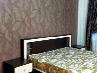 1-комнатная квартира посуточно Челябинск, ул. Труда, 158: Фотография 3