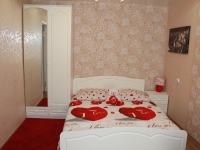 2-комнатная квартира посуточно Нижний Новгород, Московское шоссе, 11: Фотография 2