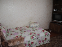 1-комнатная квартира посуточно Гатчина, 25 Проспект Октября, 9: Фотография 2